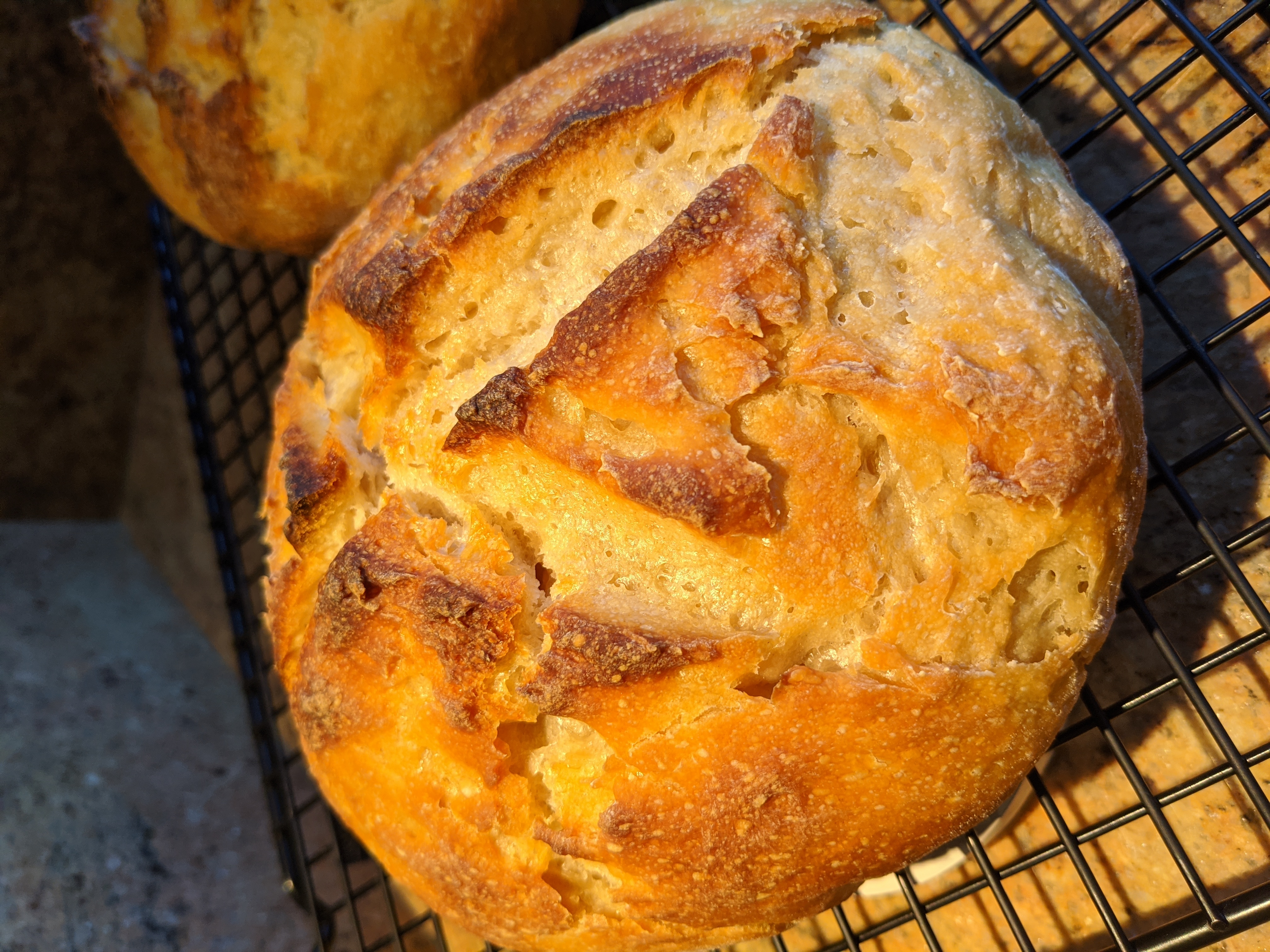 Sourdough Bread recipe image